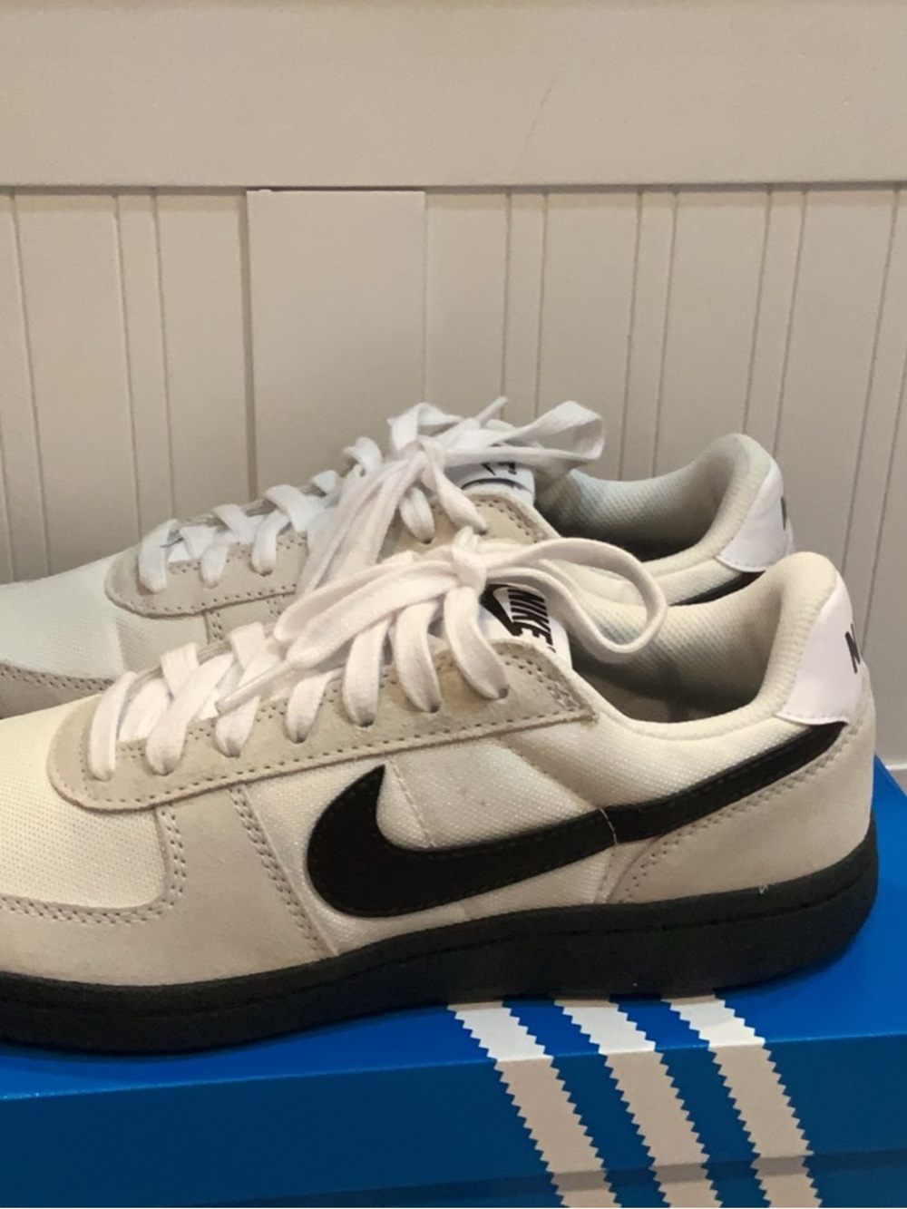 Nike White and Black Low-Top Canvas Sneaker